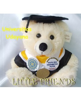 Boneka Wisuda Universitas Udayana - Matematika (25 cm)